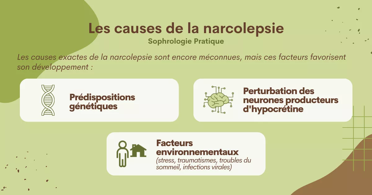 Les causes de la narcolepsie : la génétique, une perturbation des neurones producteurs d'orexine, des facteurs environnementaux