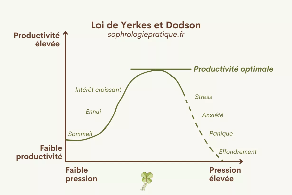 Loi de Yerkes et Dodson sur la relation entre le niveau de pression et la productivité