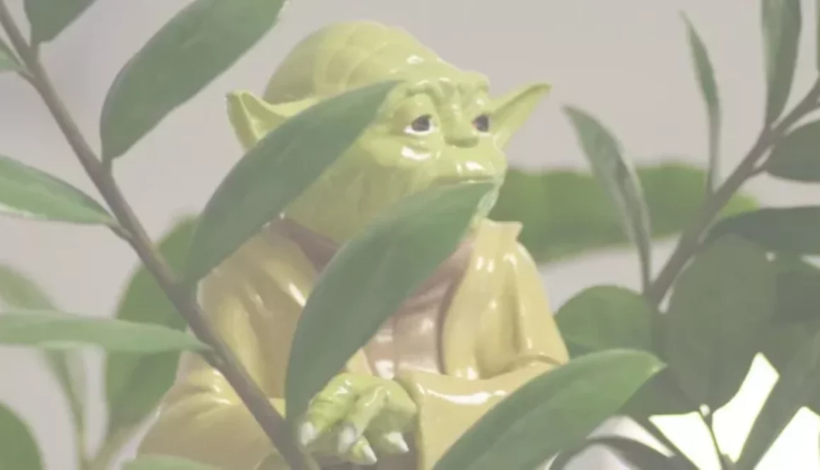 17 astuces pour lutter contre le stress avec maître Yoda