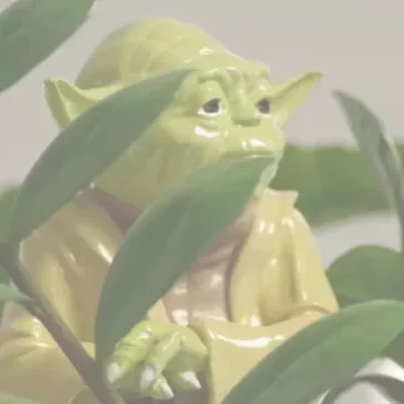 astuces-lutter-contre-le-stress 17 astuces pour lutter contre le stress avec maître Yoda